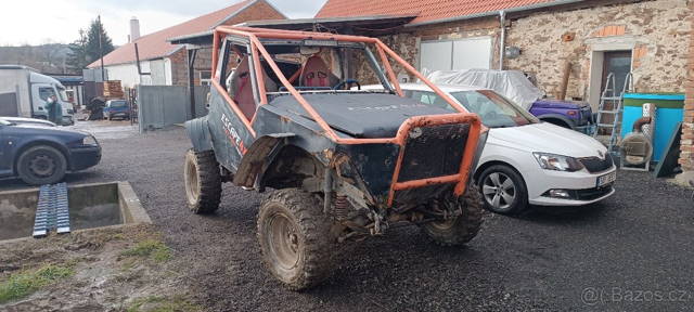 Buggy patrol