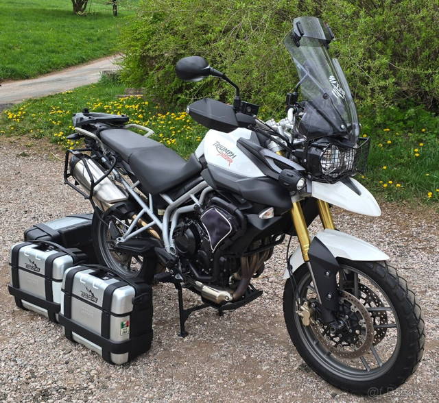 TRIUMPH TIGER 800