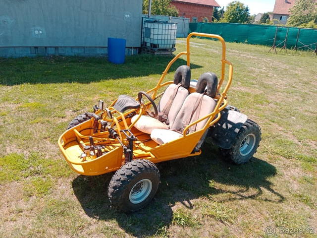 Buggy Hammerhead