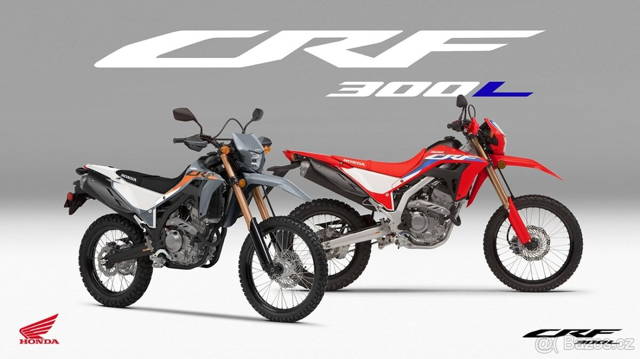 Honda CRF 300L (KOUPÍM)