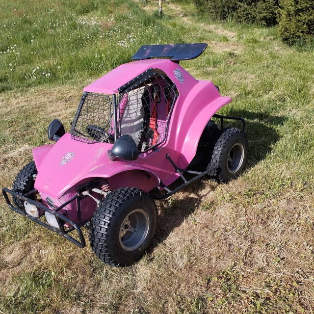 HAVEL BUGGY