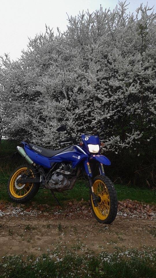 Suzuki DR 125 SM – nepojízdná, STK 2/2028, A1,