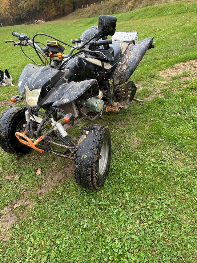 Bashan 200