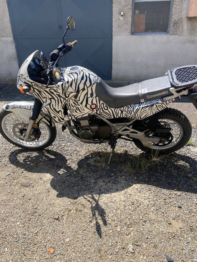 Kawasaki kle 500
