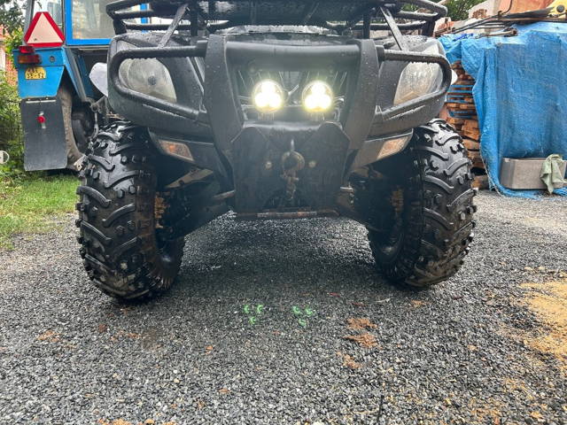 Dinli linhai 700