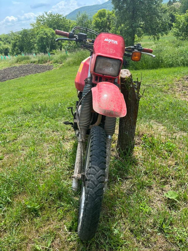 Prodam suzuki Dr 600