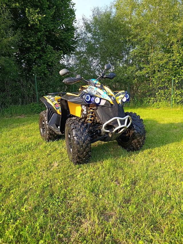 Can am renegade 500