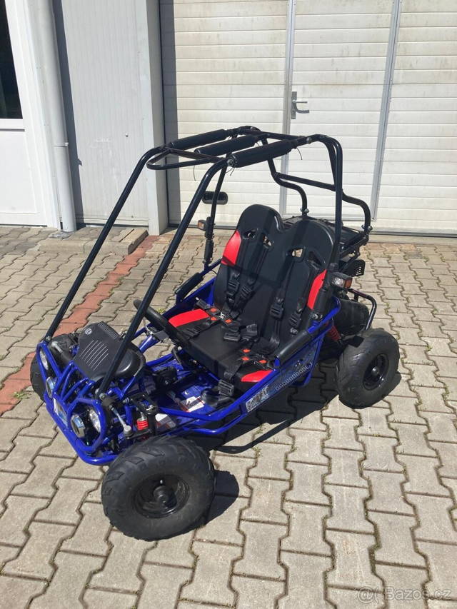 Buggy LERAMOTORS PREDATOR