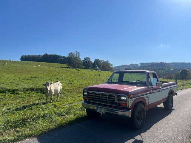 Ford f150 1985 5.8 V8