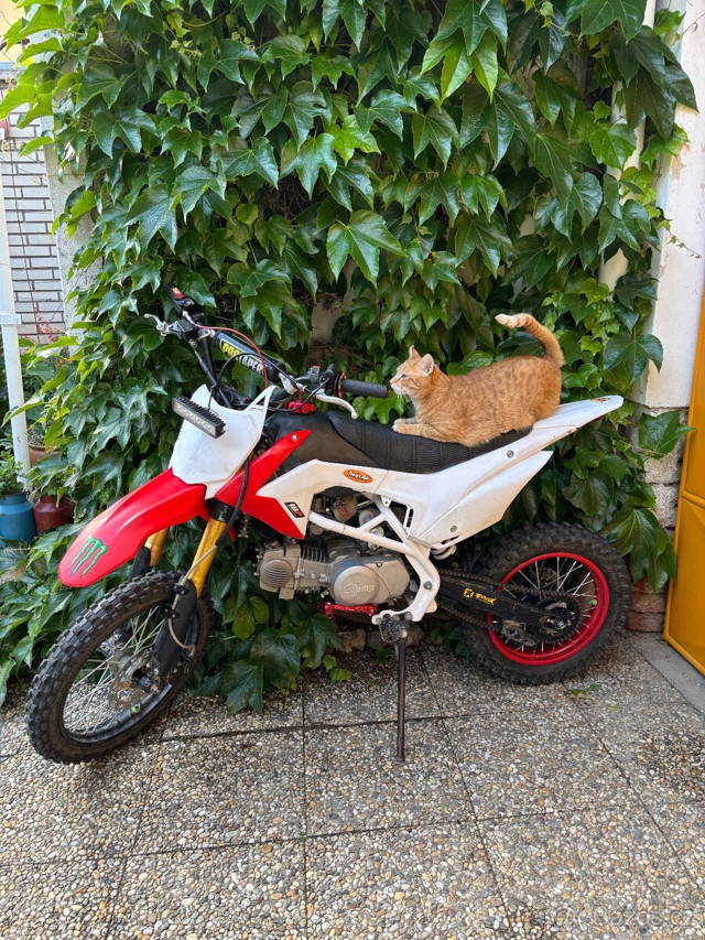 pitbike 140 ccm