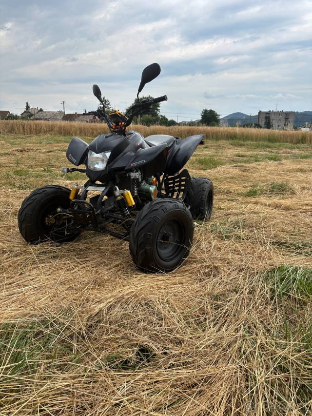 Bashan 200