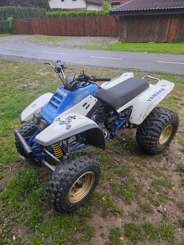 Yamaha warrior 350