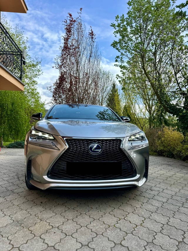 Lexus NX 300h F-SPORT