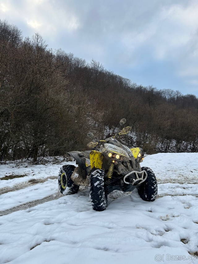 Can am renegade1000 2020