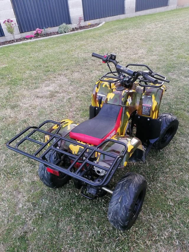 Atv 110