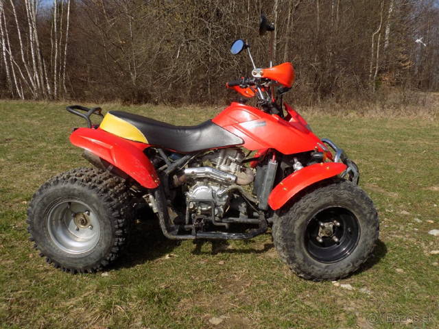Leopard ATV 250