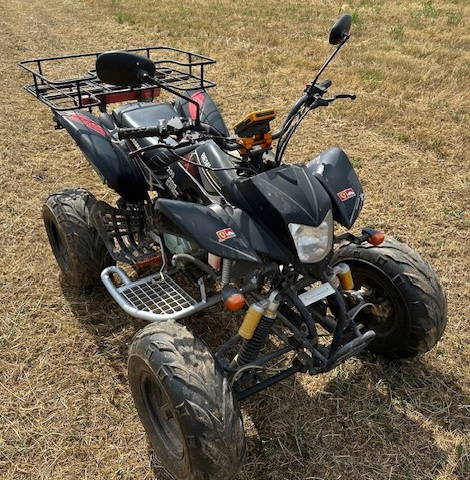 Bashan 200