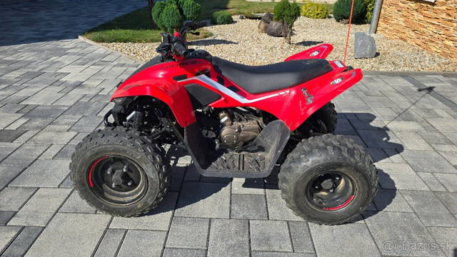 CF Moto X110