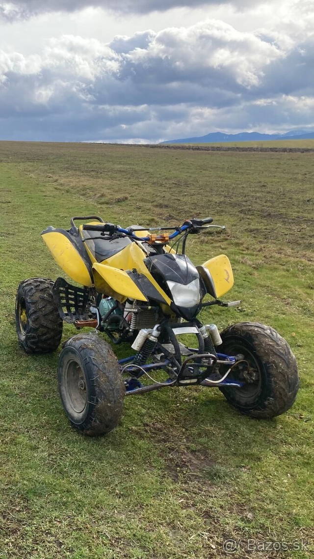 Bashan 250