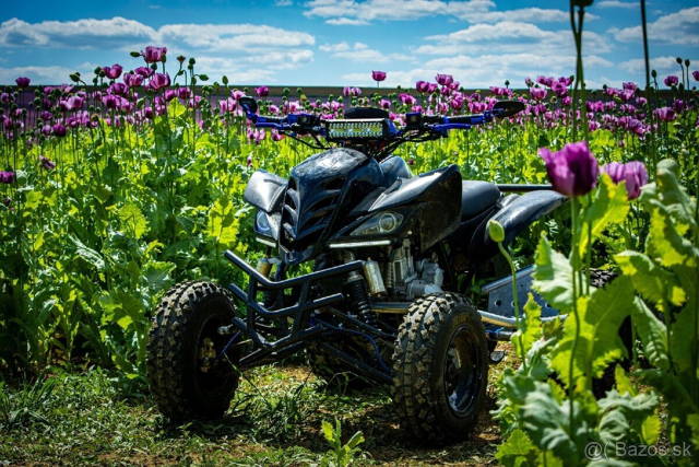 Predam Bashan 250ccm s TP a ŠPZ. VODNIK