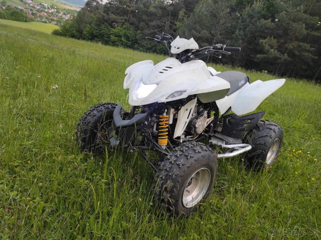 Dinli quadzilla 450