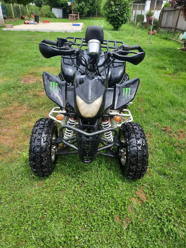 Eagle lyda 203 Tp spz