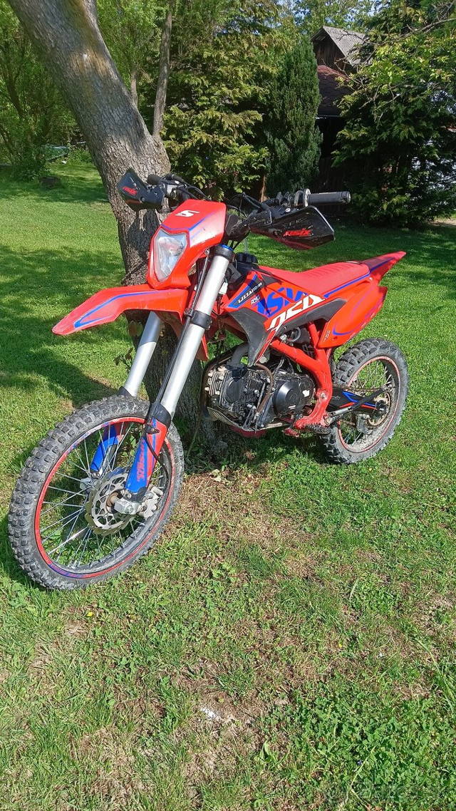 Asix lizard 125