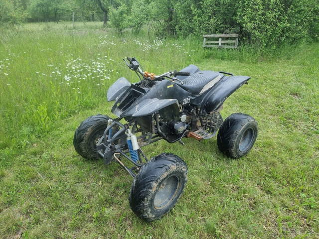 Predam Bashan 250cc