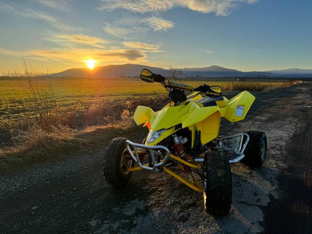 SUZUKI LTR 450 2006