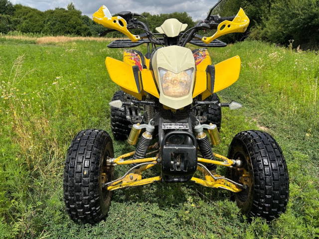 Bashan 250