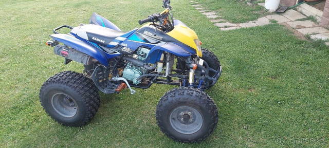 Bashan 200