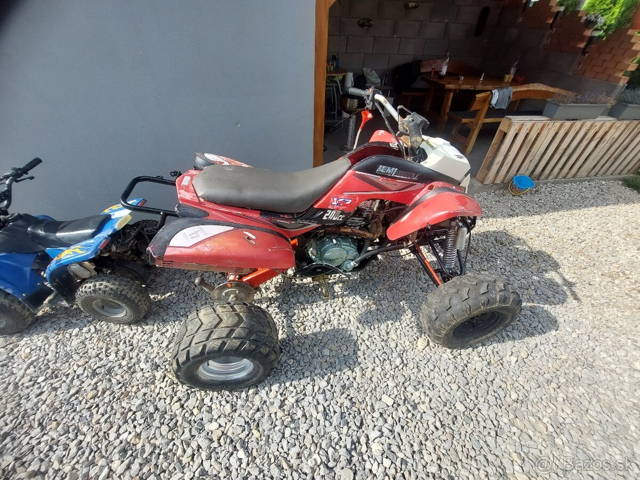 Bashan 200
