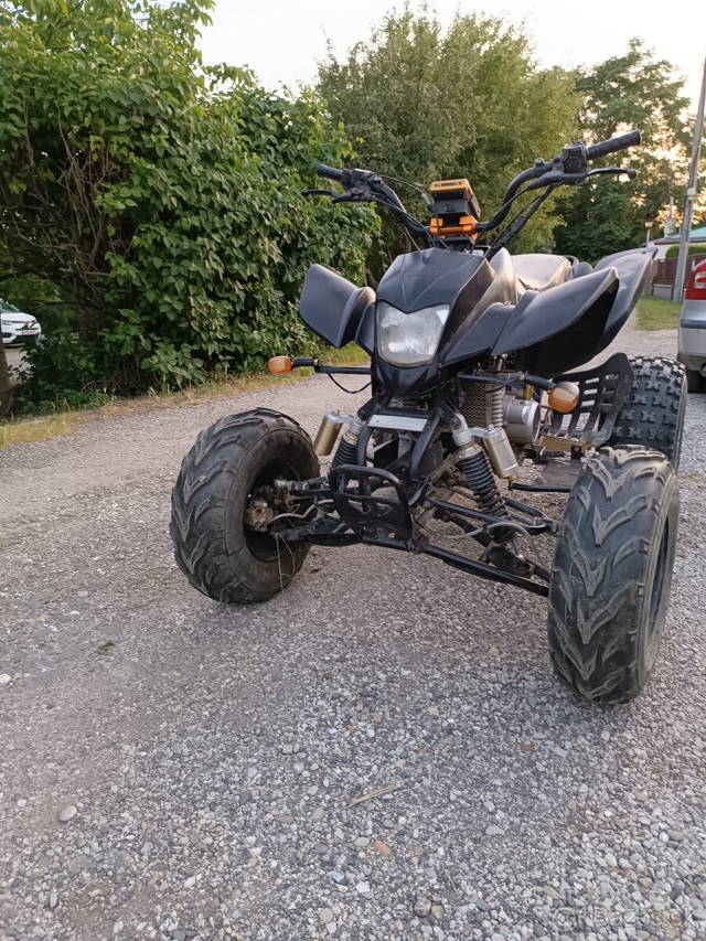 Bashan 200