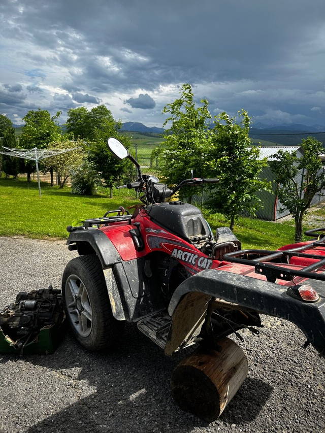 Artic Cat 300 4x4