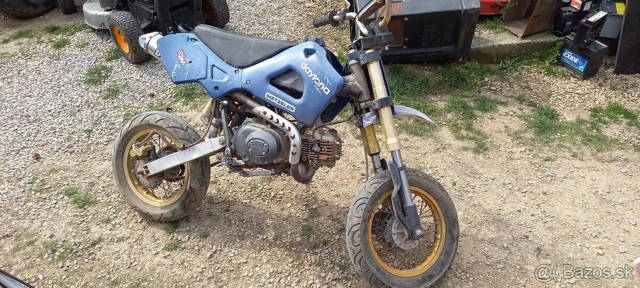 predam pitbike daitona 50cc automat