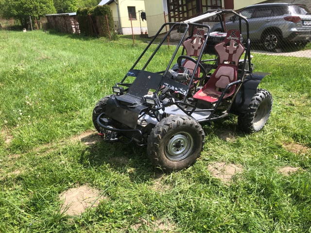 Buggy