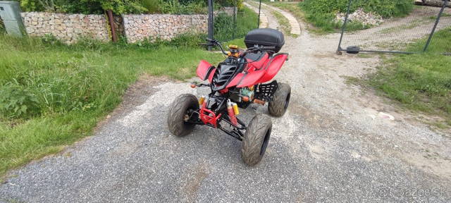 Bashan 200