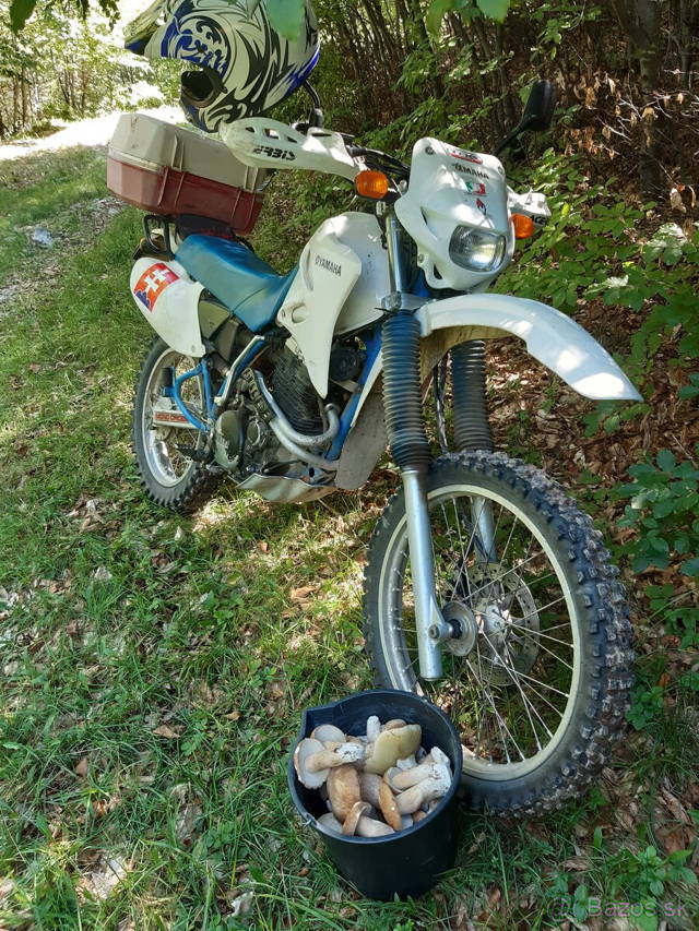 Yamaha 350 xt