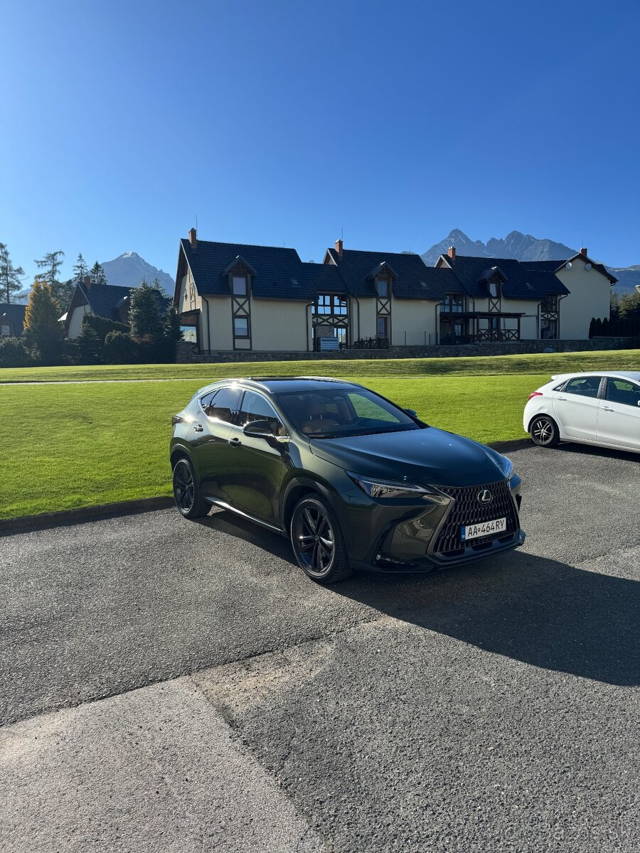 Lexus NX Executive Top
