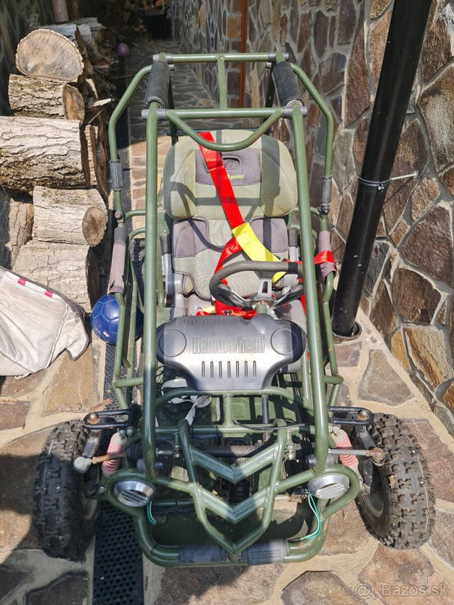 Buggy